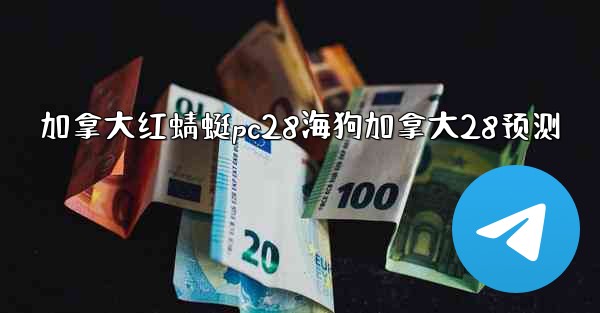 加拿大红蜻蜓pc28海狗加拿大28预测