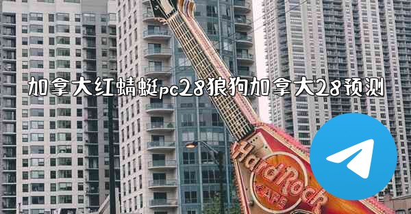 加拿大红蜻蜓pc28狼狗加拿大28预测