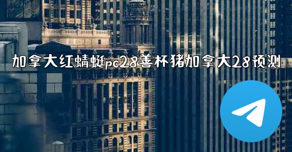 加拿大红蜻蜓pc28善杯猪加拿大28预测