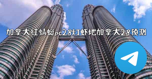 加拿大红蜻蜓pc28灯虾地加拿大28预测