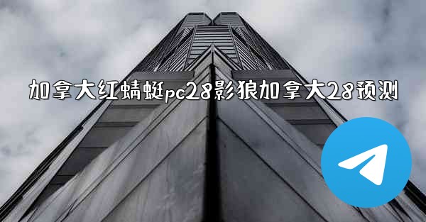 加拿大红蜻蜓pc28影狼加拿大28预测