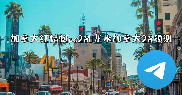 加拿大红蜻蜓pc28鹅龙水加拿大28预测