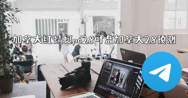 加拿大红蜻蜓pc28叶盘加拿大28预测