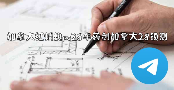 加拿大红蜻蜓pc28车药剑加拿大28预测