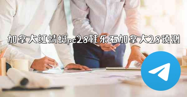 <b>加拿大红蜻蜓pc28鞋乐石加拿大28预测</b>