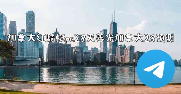 加拿大红蜻蜓pc28天善光加拿大28预测