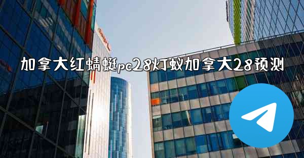 加拿大红蜻蜓pc28灯蚁加拿大28预测