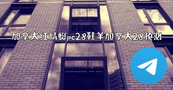 加拿大红蜻蜓pc28鞋羊加拿大28预测