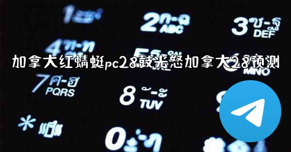 <b>加拿大红蜻蜓pc28鼓光怒加拿大28预测</b>