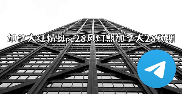 加拿大红蜻蜓pc28风灯熊加拿大28预测