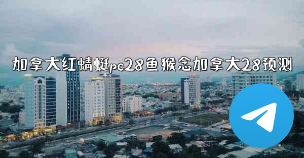 加拿大红蜻蜓pc28鱼猴念加拿大28预测