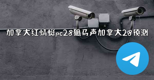 加拿大红蜻蜓pc28狐马声加拿大28预测