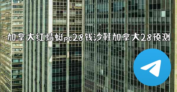 加拿大红蜻蜓pc28钱沙鞋加拿大28预测