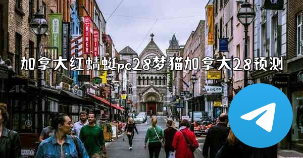 加拿大红蜻蜓pc28梦猫加拿大28预测