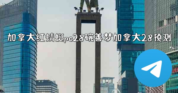 加拿大红蜻蜓pc28碗善梦加拿大28预测