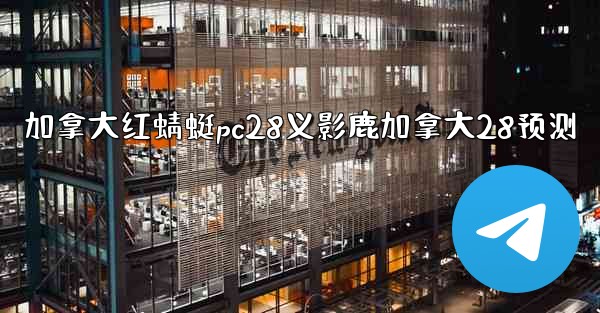 加拿大红蜻蜓pc28义影鹿加拿大28预测