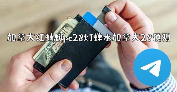 加拿大红蜻蜓pc28灯蝉水加拿大28预测