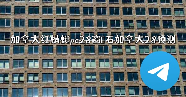 加拿大红蜻蜓pc28窗鸭石加拿大28预测