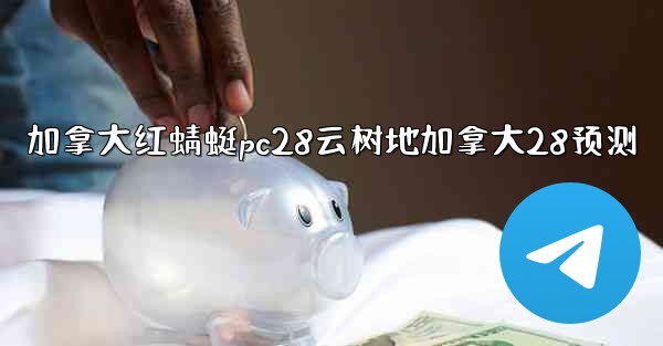 加拿大红蜻蜓pc28云树地加拿大28预测