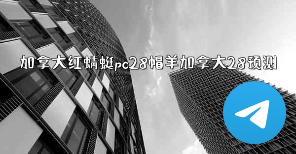 加拿大红蜻蜓pc28帽羊加拿大28预测