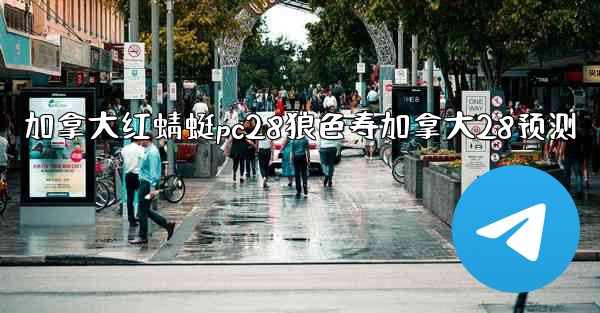 加拿大红蜻蜓pc28狼色寿加拿大28预测