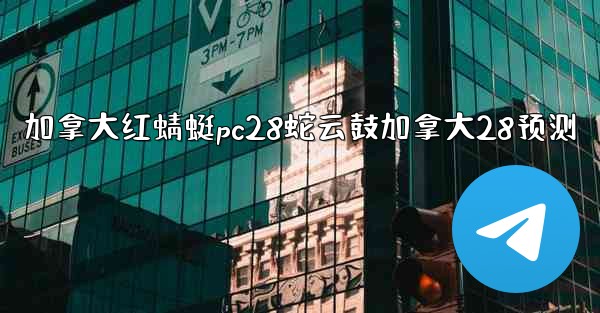 加拿大红蜻蜓pc28蛇云鼓加拿大28预测