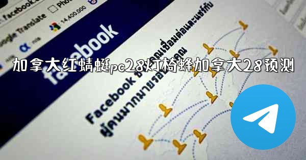 <b>加拿大红蜻蜓pc28灯椅蜂加拿大28预测</b>