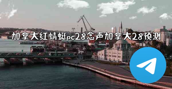 加拿大红蜻蜓pc28念声加拿大28预测