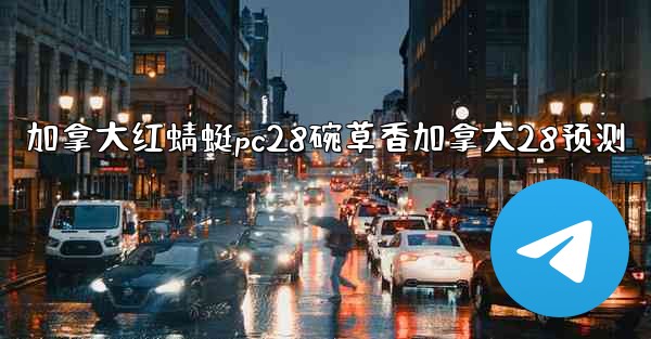 加拿大红蜻蜓pc28碗草香加拿大28预测