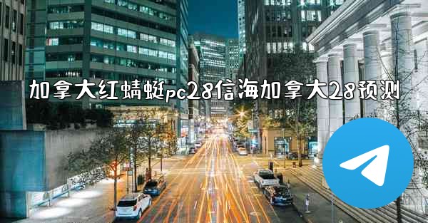 加拿大红蜻蜓pc28信海加拿大28预测