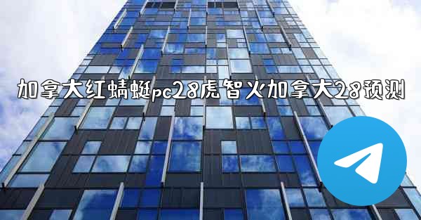 加拿大红蜻蜓pc28虎智火加拿大28预测