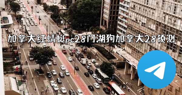 加拿大红蜻蜓pc28门湖狗加拿大28预测