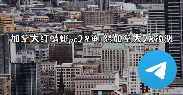 加拿大红蜻蜓pc28龟鸭怒加拿大28预测