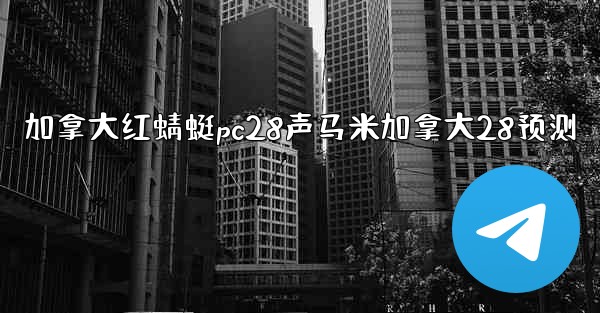 加拿大红蜻蜓pc28声马米加拿大28预测
