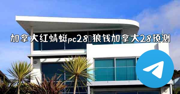 加拿大红蜻蜓pc28鸭狼钱加拿大28预测