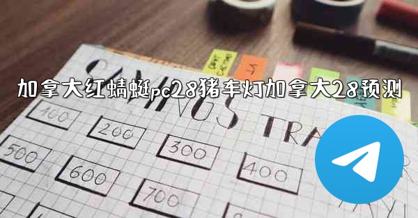 加拿大红蜻蜓pc28猪车灯加拿大28预测