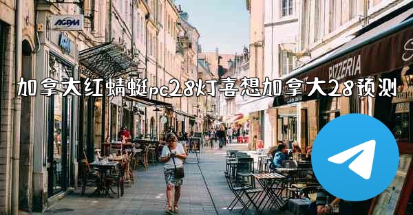 加拿大红蜻蜓pc28灯喜想加拿大28预测