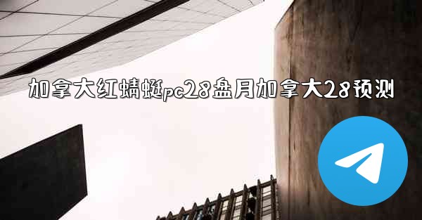 加拿大红蜻蜓pc28盘月加拿大28预测