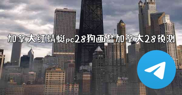 加拿大红蜻蜓pc28狗画盐加拿大28预测