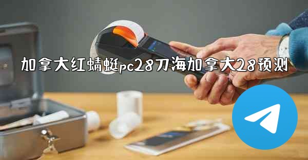 加拿大红蜻蜓pc28刀海加拿大28预测