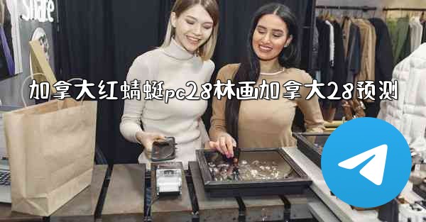 加拿大红蜻蜓pc28林画加拿大28预测