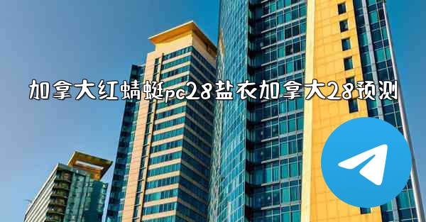 加拿大红蜻蜓pc28盐衣加拿大28预测