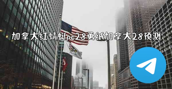 加拿大红蜻蜓pc28勇纸加拿大28预测