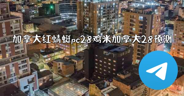 加拿大红蜻蜓pc28鸡米加拿大28预测