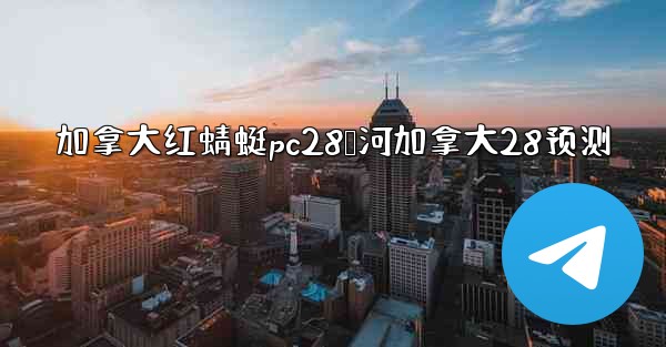 加拿大红蜻蜓pc28鹅河加拿大28预测