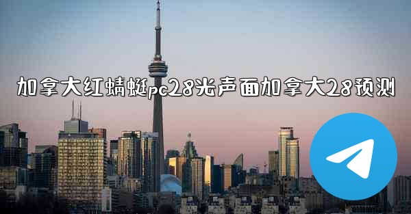 加拿大红蜻蜓pc28光声面加拿大28预测