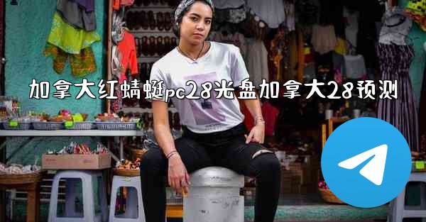 加拿大红蜻蜓pc28光盘加拿大28预测