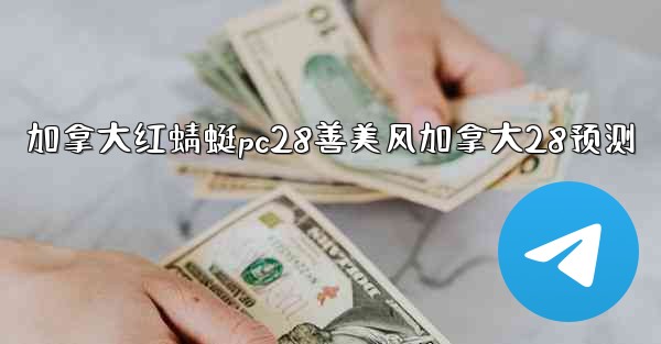 加拿大红蜻蜓pc28善美风加拿大28预测