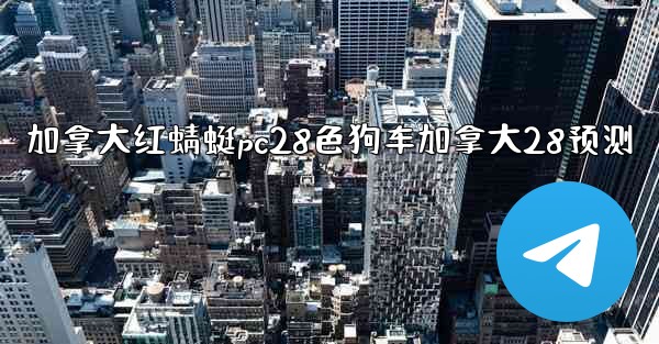 加拿大红蜻蜓pc28色狗车加拿大28预测