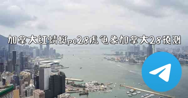 加拿大红蜻蜓pc28虎龟象加拿大28预测